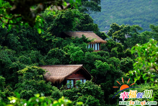 亚龙湾鸟巢度假村图片