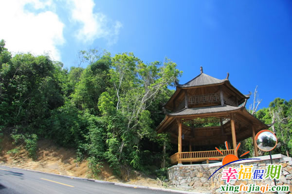 亚龙湾鸟巢度假村的公路