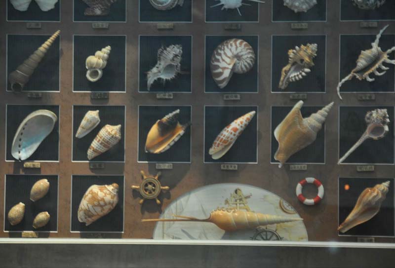 �������μ���Ʒ