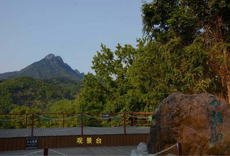 �������ι���2013