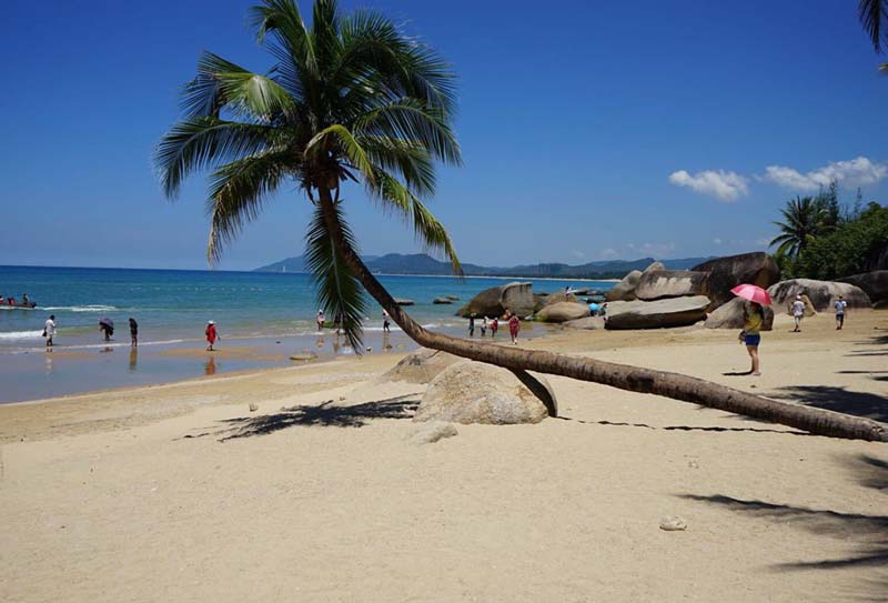 ���ں������� �۸�