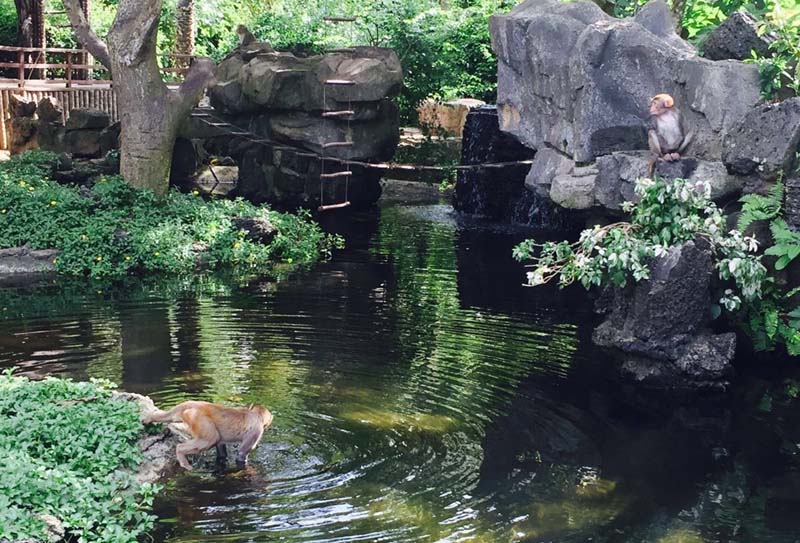 ������������·