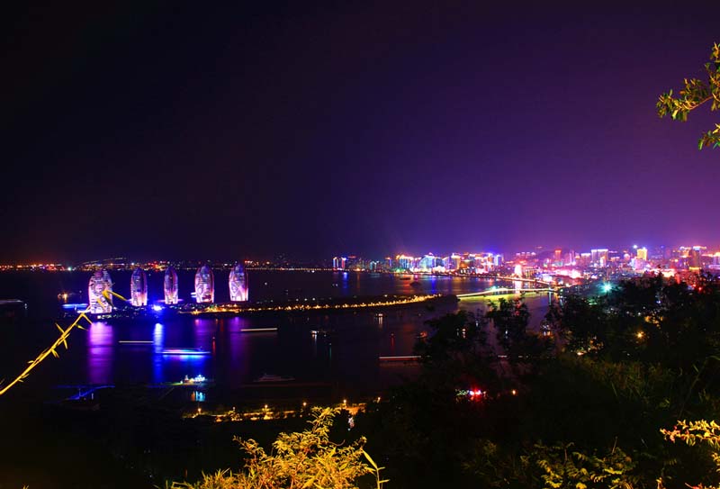 ���������Ź���