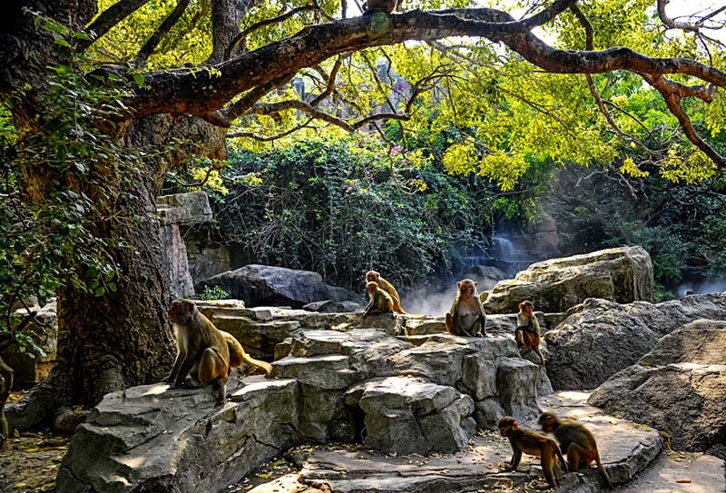 �����Լ��ι���