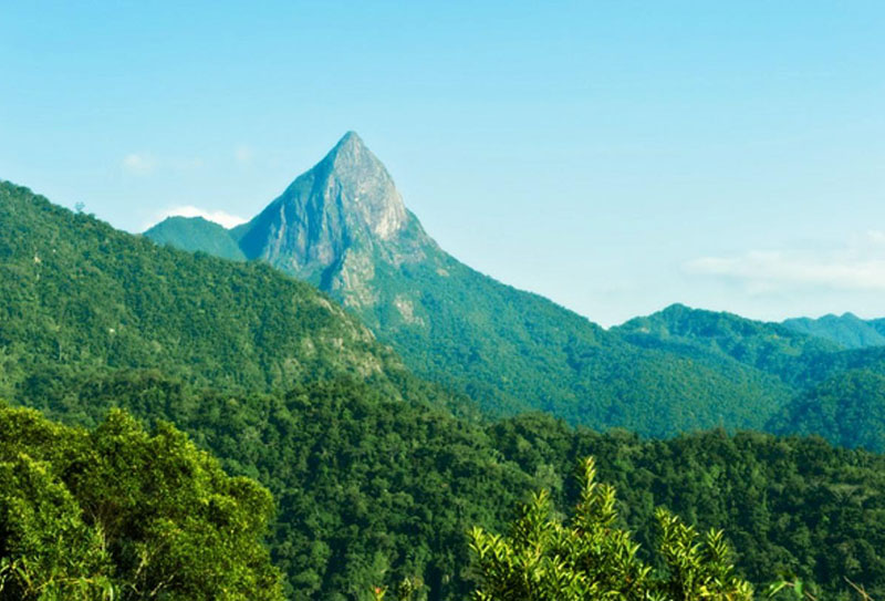 �������β�Ʒ