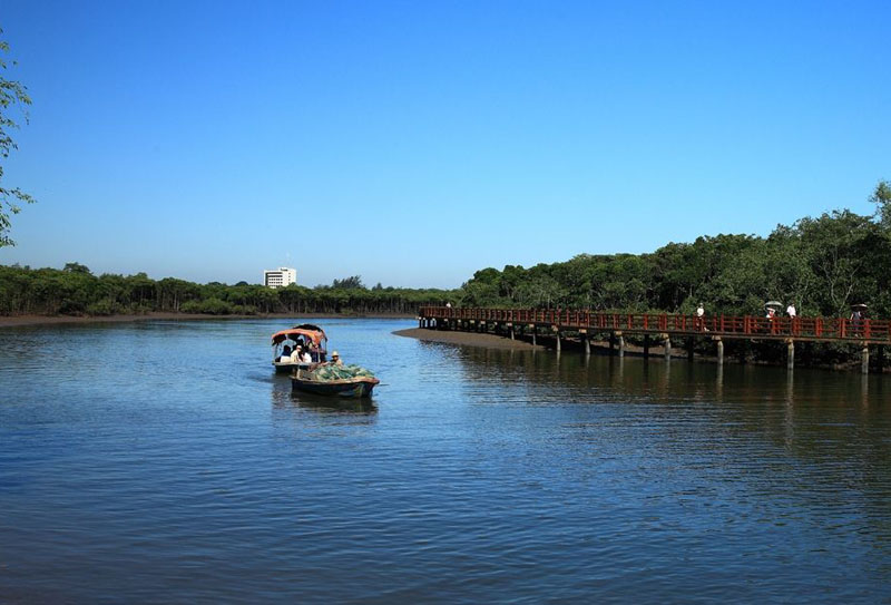 ���������ι���2013