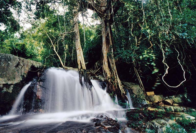 �����������ι���