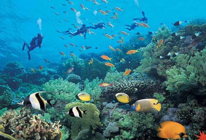 ��������·�����