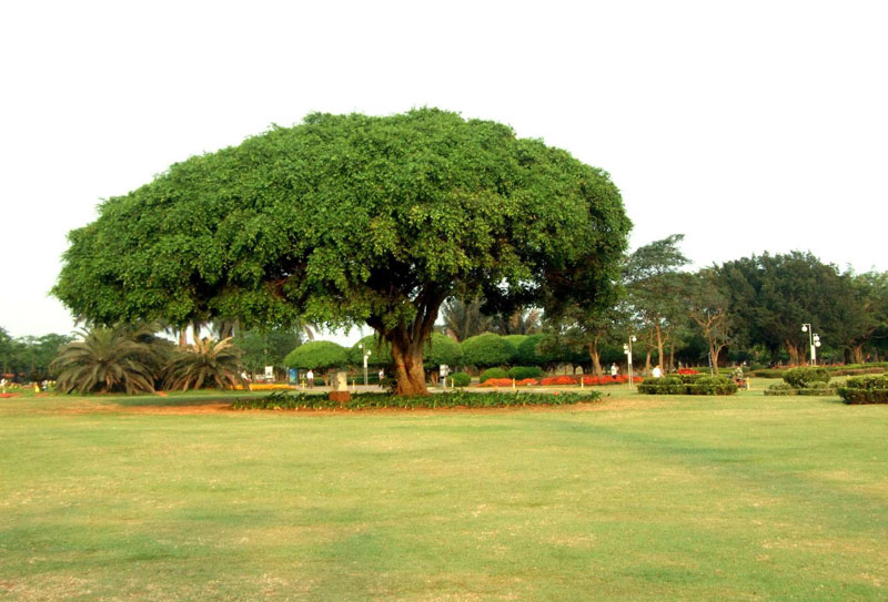 �������ξ���